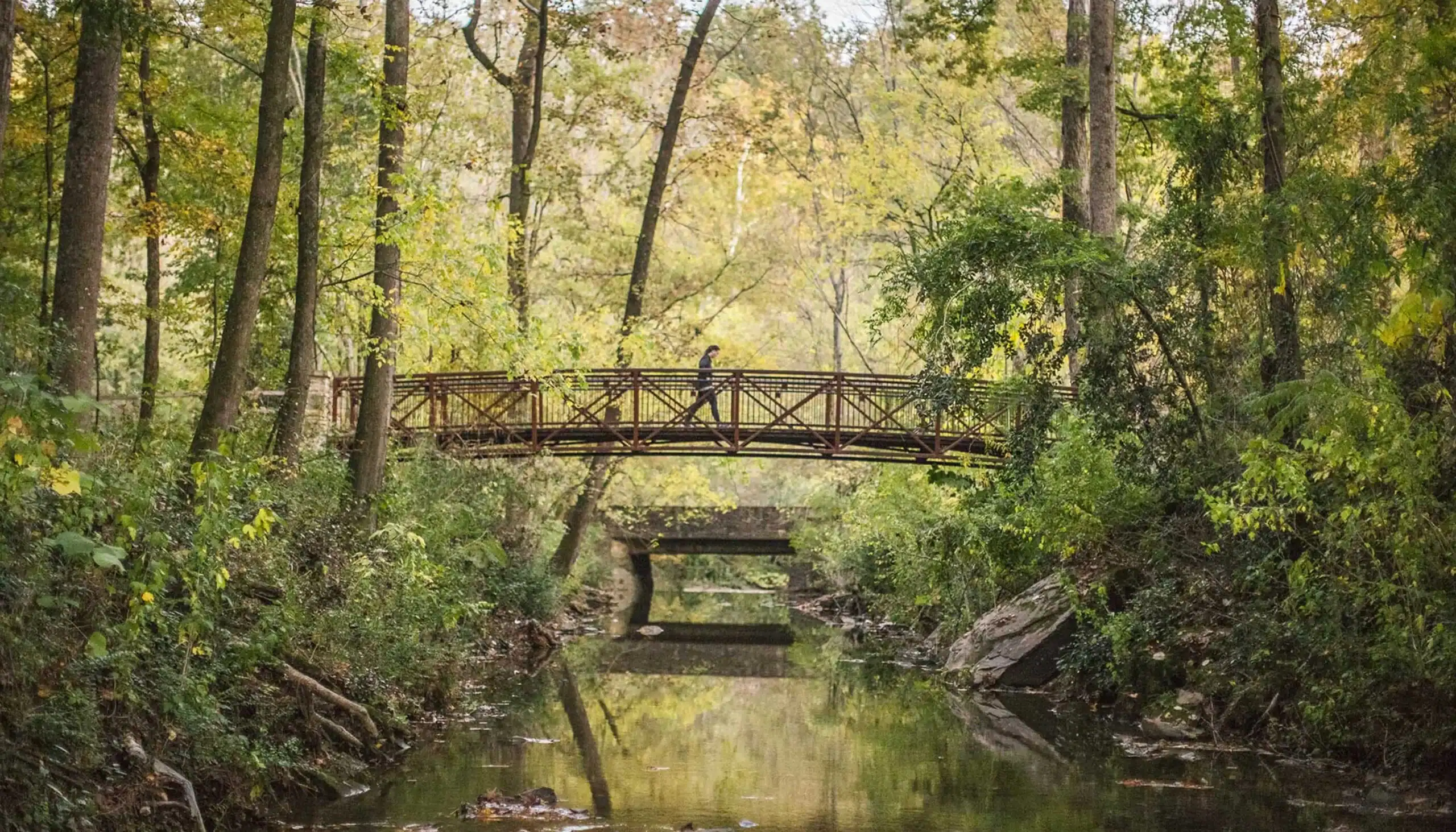 Wooden footbridge on a wooded trail in Mountain Brook, Alabama